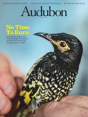 cover image of Audubon Magazine